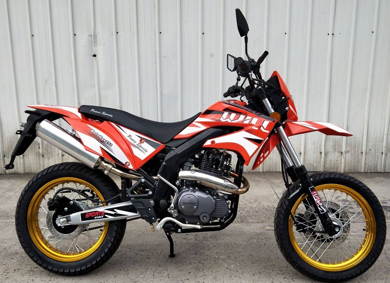 bashan motomax 250 amazon