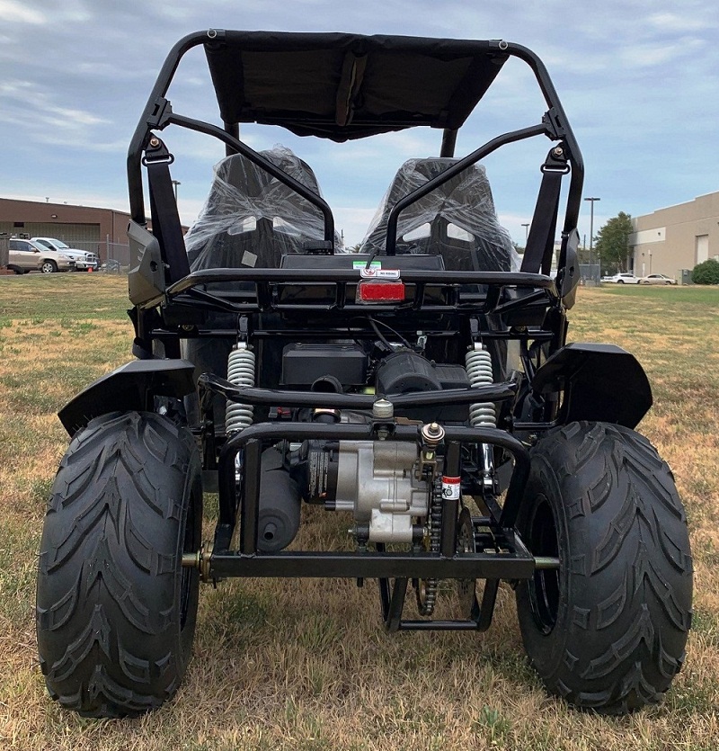 Buy New Trailmaster Cheetah 150 Go Kart, 4stroke, Single Cylinder, Air