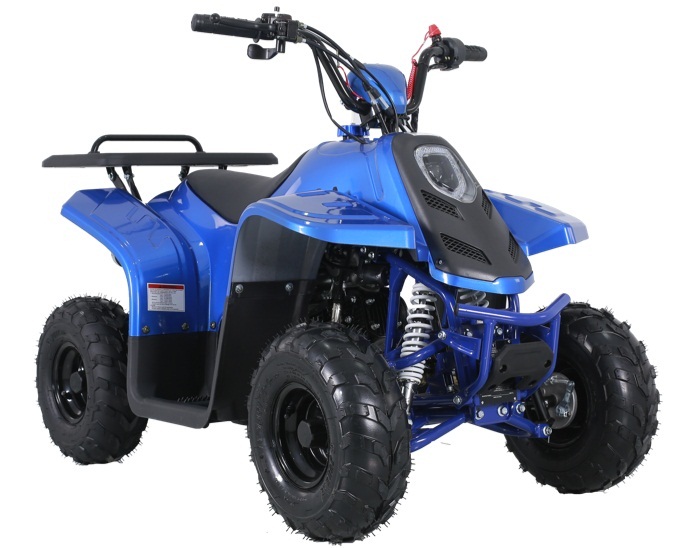 Buy Taotao Rock 110 ATVs for online Sale at - lowestpriceatv.com